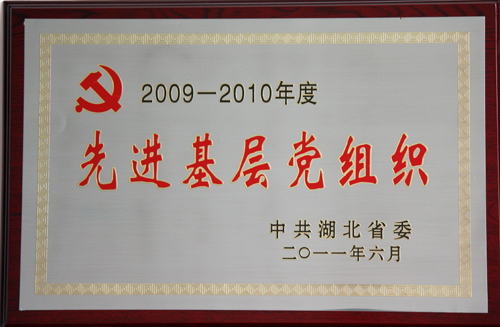 湖北省先进基层党组织（2009-2010）
